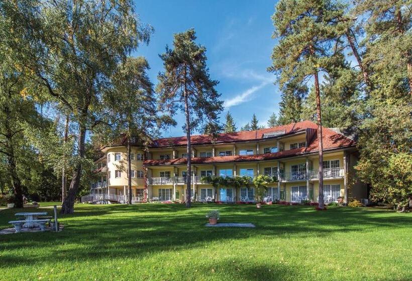 Отель Villa Rainer