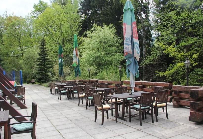 Wellness Hotel Harrachovka