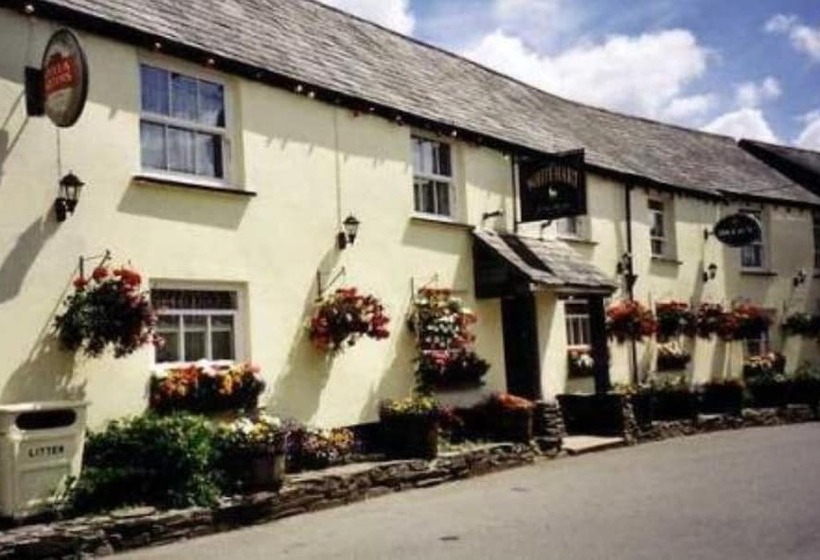فندق White Hart