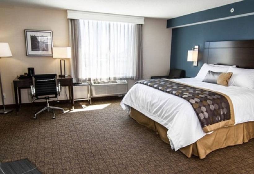 هتل Wyndham Garden Niagara Falls Fallsview