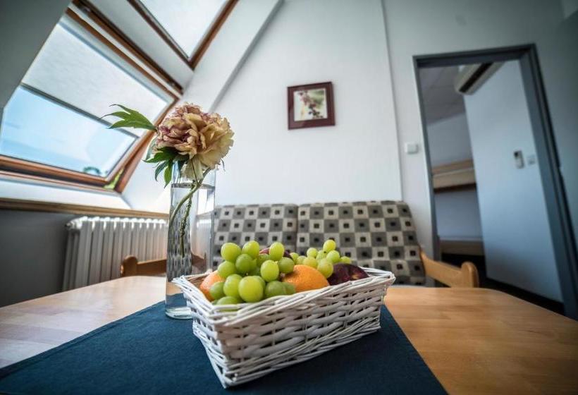 It Centrum Apartments