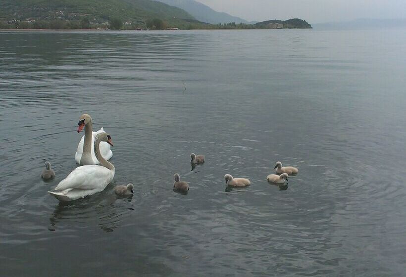 Vila Kosta City Center Port