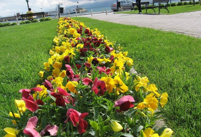 Vila Kosta City Center Port