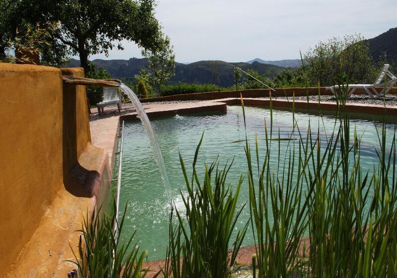La Oveja Verde De La Alpujarra