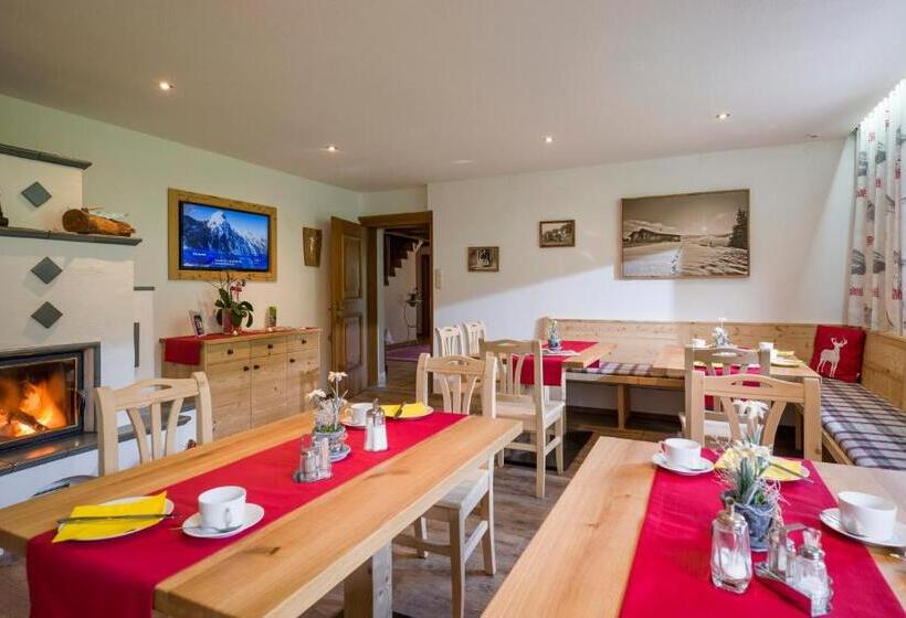 Otto Steiner Appartements Pension Ellmau & Wilder Kaiser