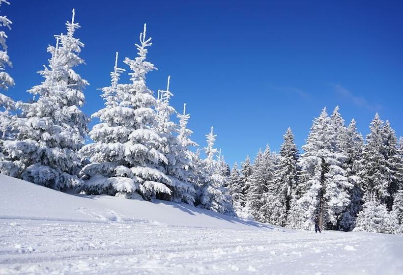 Ski & Spa Hotel Bellevue