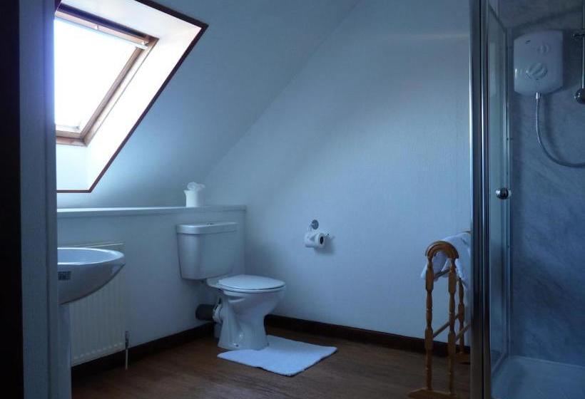 Отель The Brown Trout