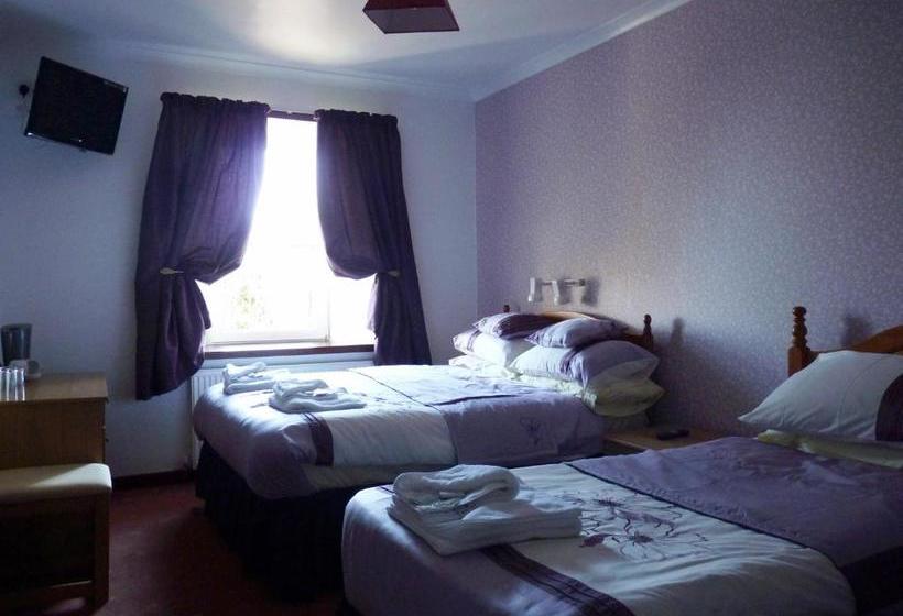 Отель The Brown Trout