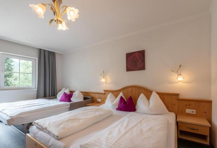 Wander  Und Familienhotel Erika