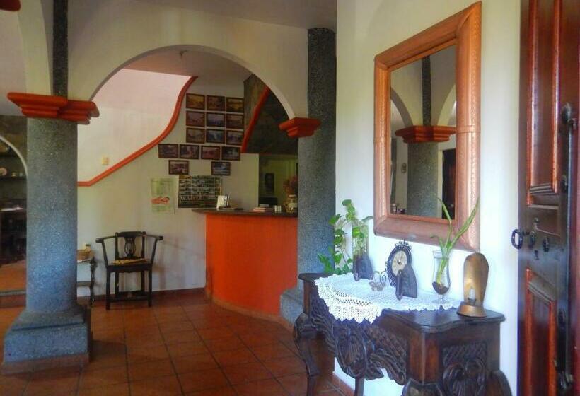 هاستل Posada Bugambilias