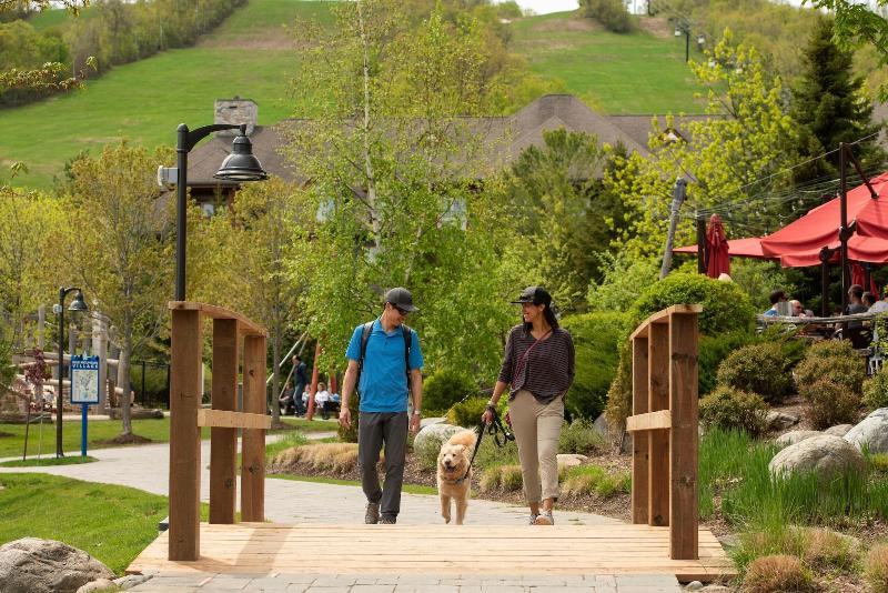 فندق Blue Mountain Resort Mosaic Suites