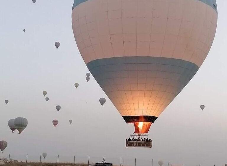 هتل Shah Sultan Ozturk