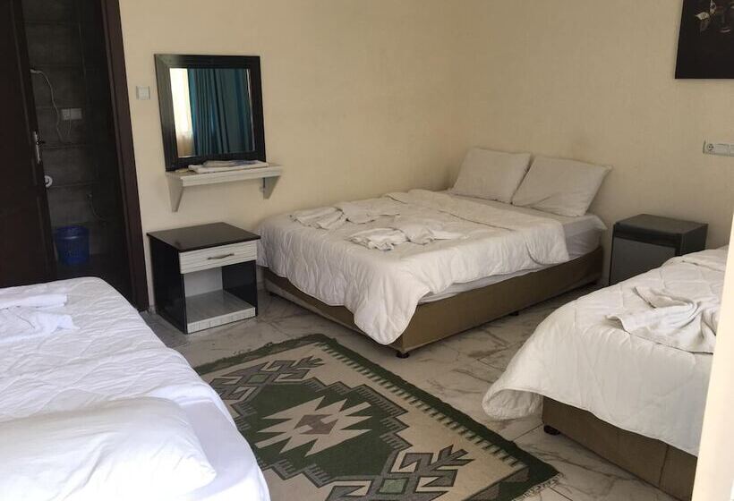 هتل Shah Sultan Ozturk