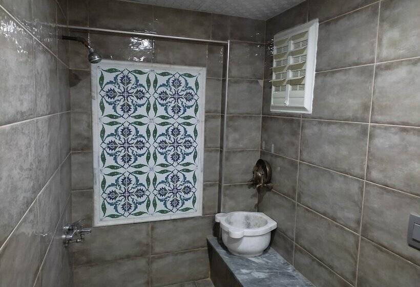 هتل Shah Sultan Ozturk