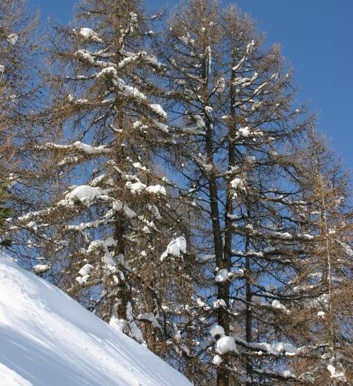 Madame Vacances Lodges Des Alpages