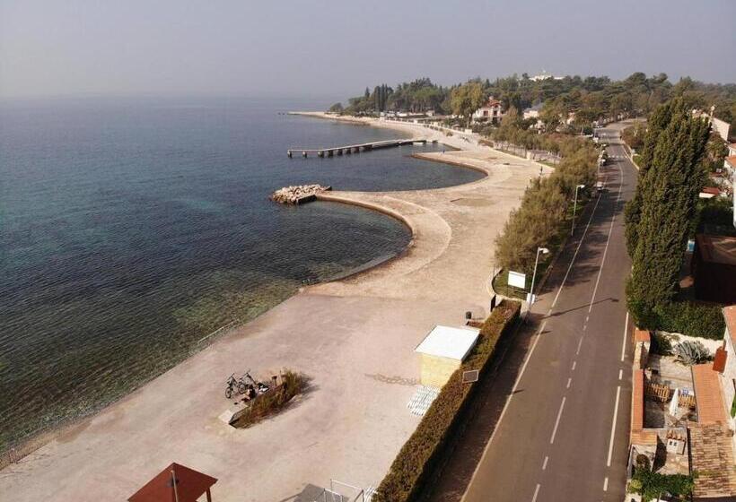 ペンション Apartments And Rooms With Parking Space Porec   6917