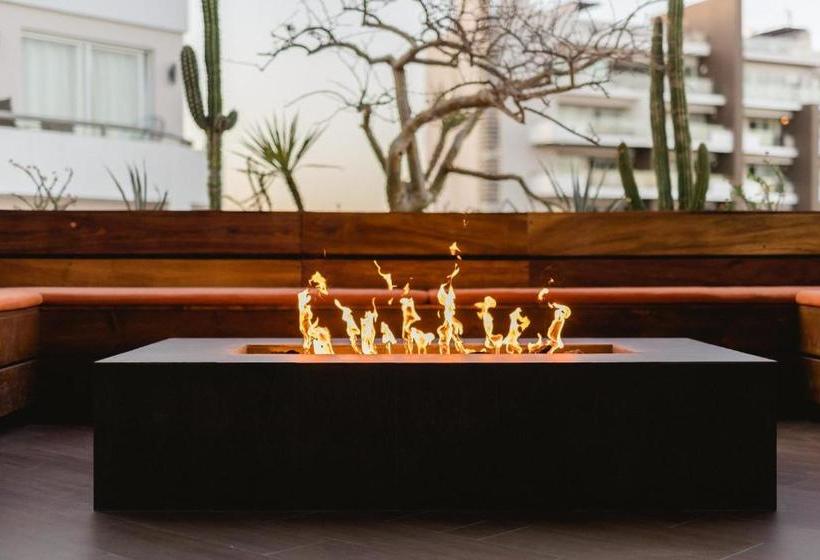 פנסיון Stay In The Heart Of Cabo 1 Bedroom Suite