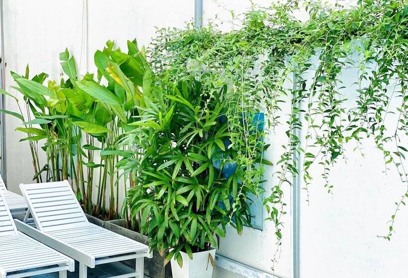 هتل Grand Holiday Hoian Villa