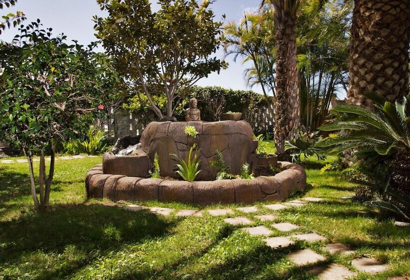 Apartamentos Adjovimar