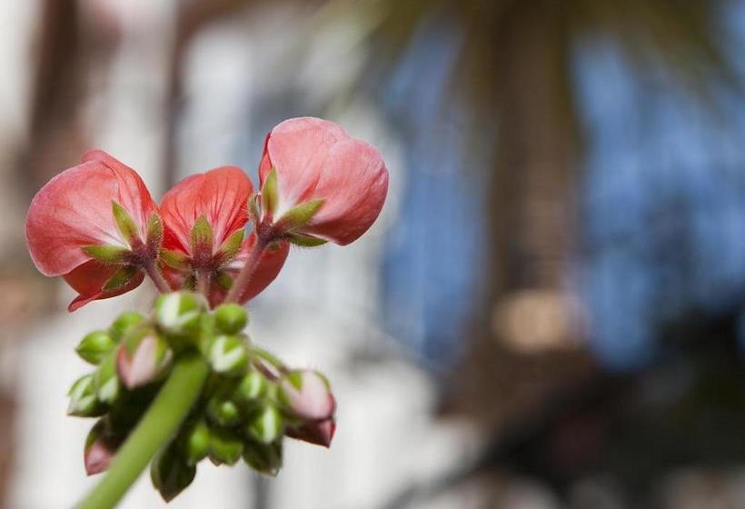 Apartamentos Rosamarina