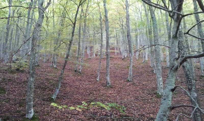 Apartamentos Turísticos Real Valle Ezcaray