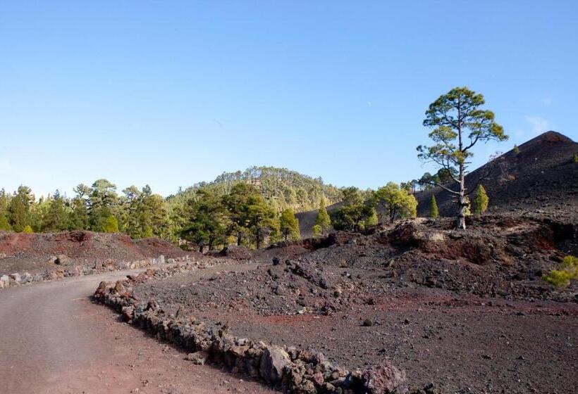 ベッドアンドブレックファースト La Vista Pension