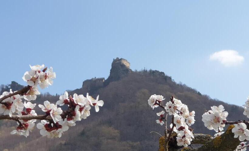 Donauwirt   Hotel Garni