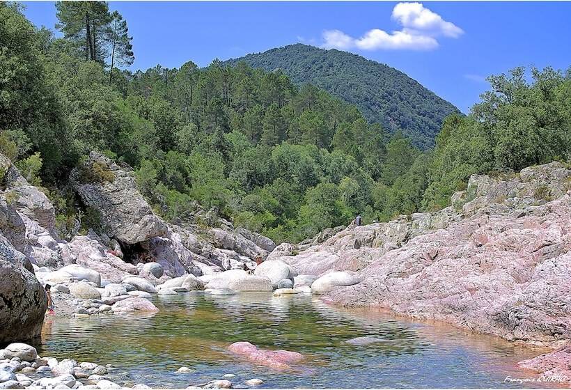 ホテル Hôtel Des Deux Sorru