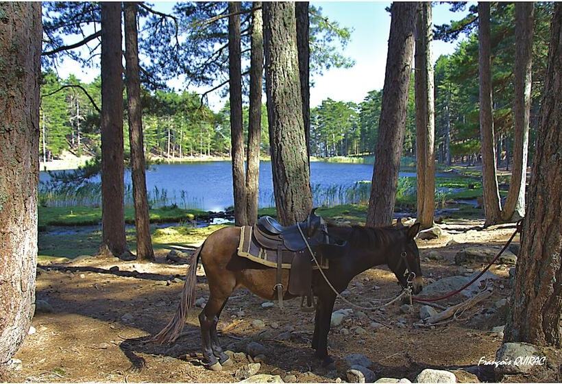 ホテル Hôtel Des Deux Sorru