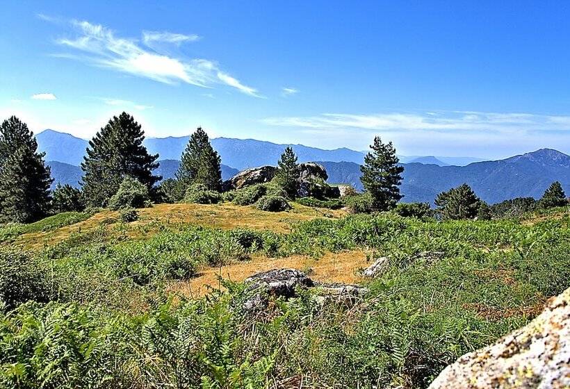 ホテル Hôtel Des Deux Sorru