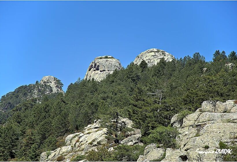 ホテル Hôtel Des Deux Sorru