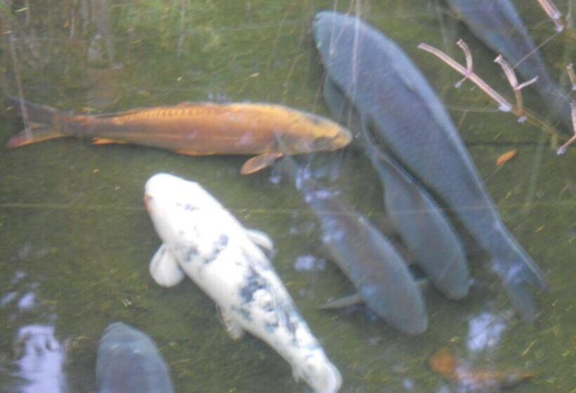 酒店 Auberge Du Saut Des Cuves