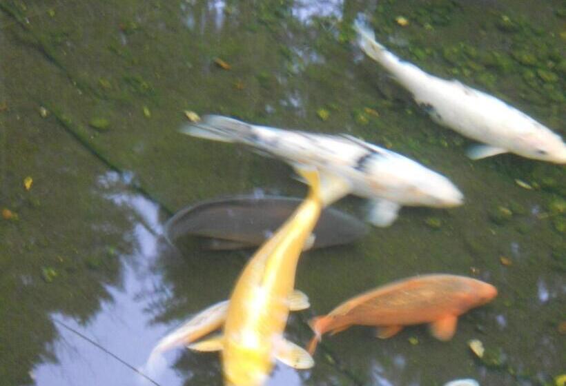 酒店 Auberge Du Saut Des Cuves