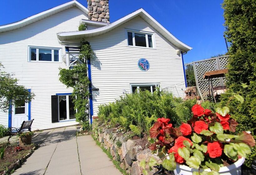 Отель Auberge Fleurs De Lune