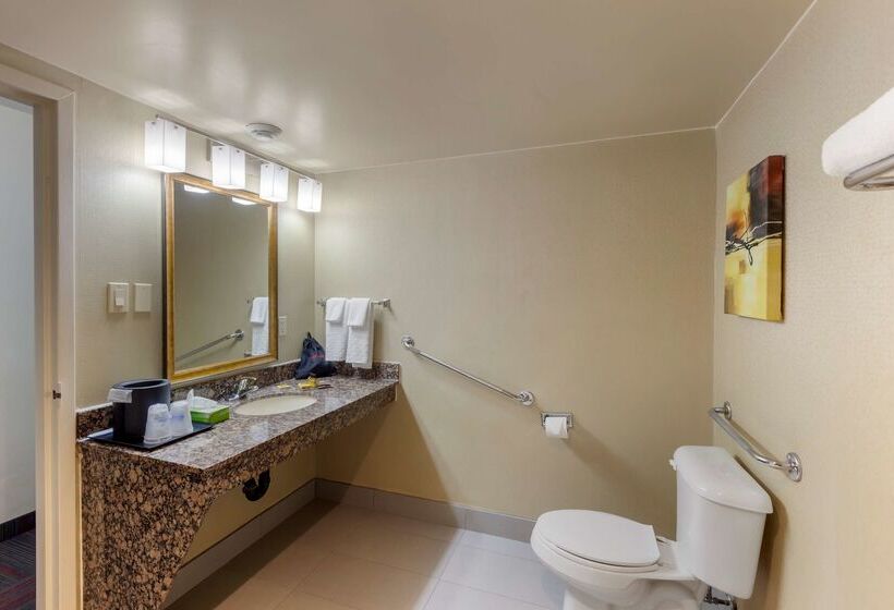 酒店 Best Western Plus Toronto Airport