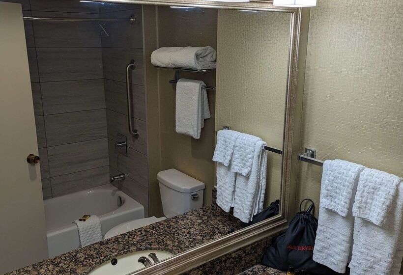 בית מלון כפרי Best Western Plus Toronto Airport