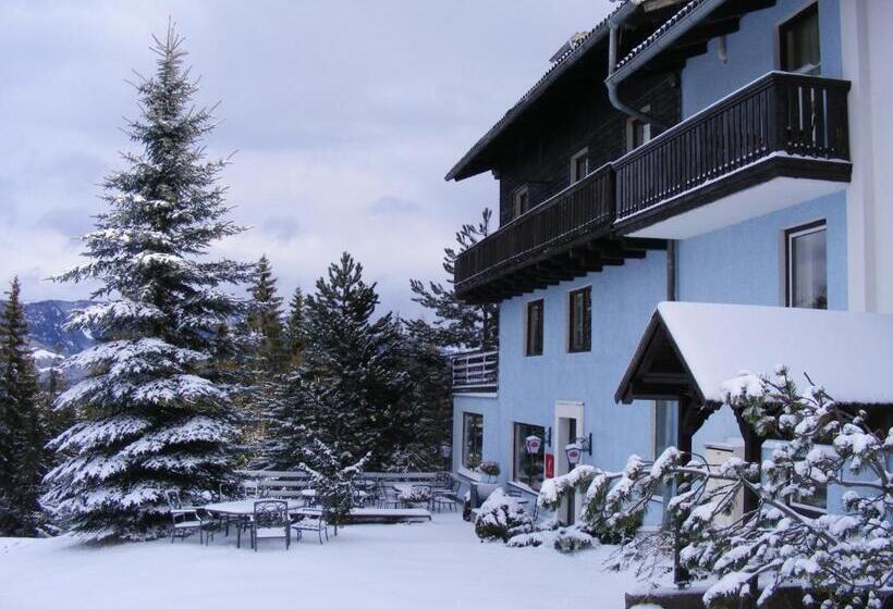 فندق Blue Mountain