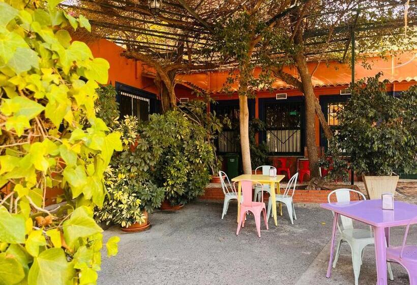 호텔 Camping Las Palmeras