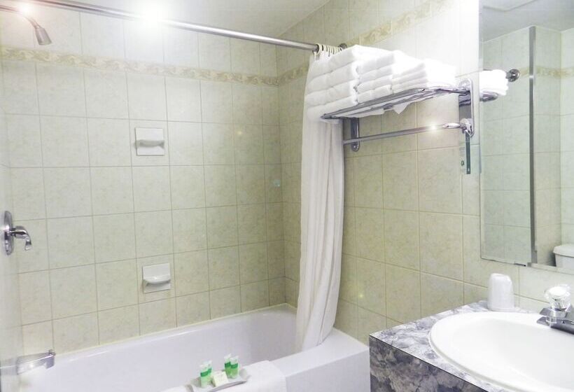 酒店 Capri Inn