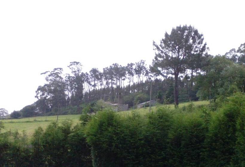 ホテル Casa Buda Conors