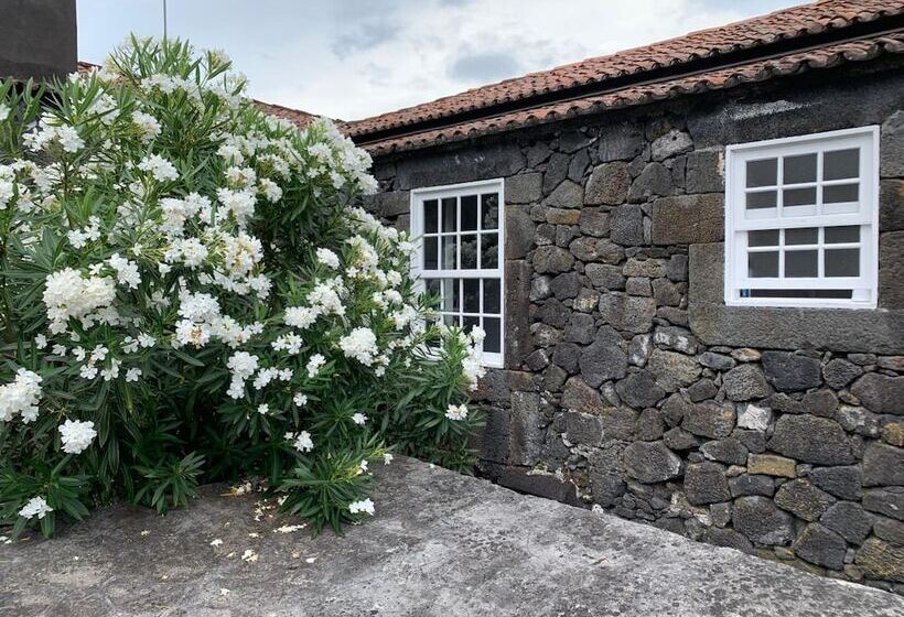 هتل Casa Das Barcas