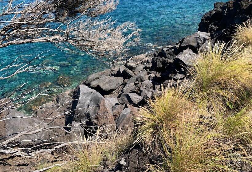 هتل Casa Das Barcas