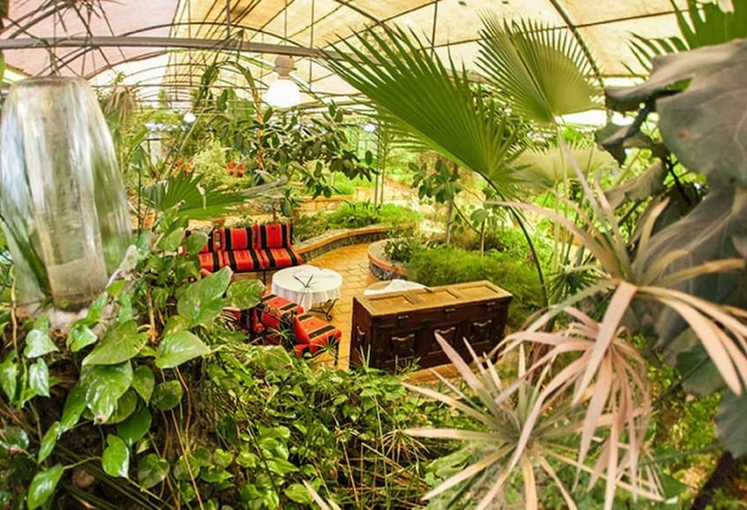 هتل Dar Diaf Bouchaoui