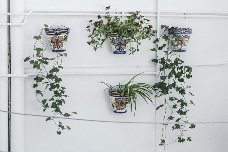 هتل El Riad Andaluz