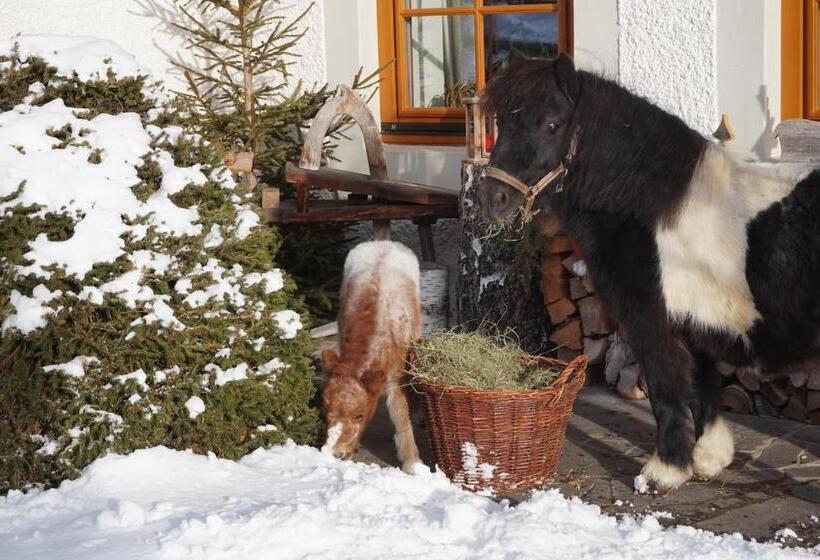 בית מלון כפרי Ferienhof Obergasser Und Bergblick