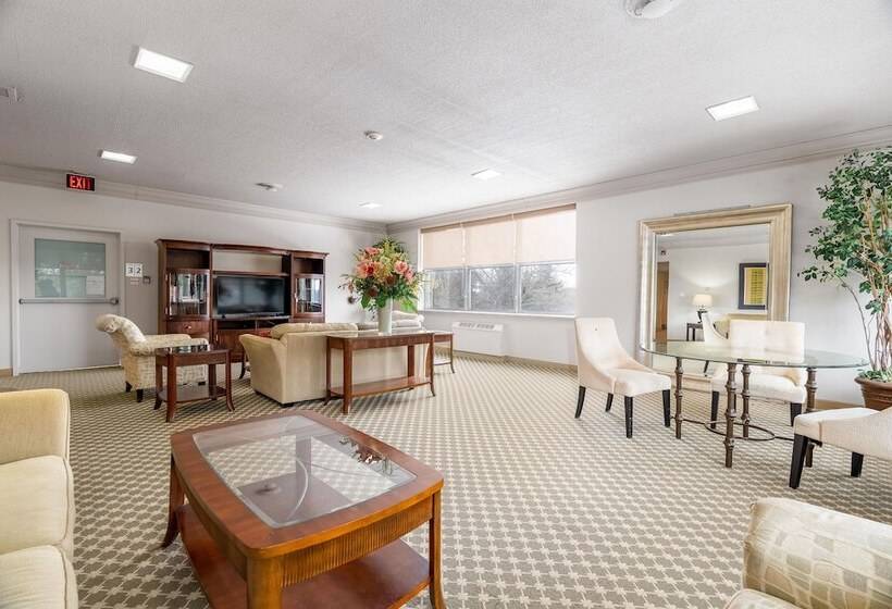 酒店 Guest House On The Mount