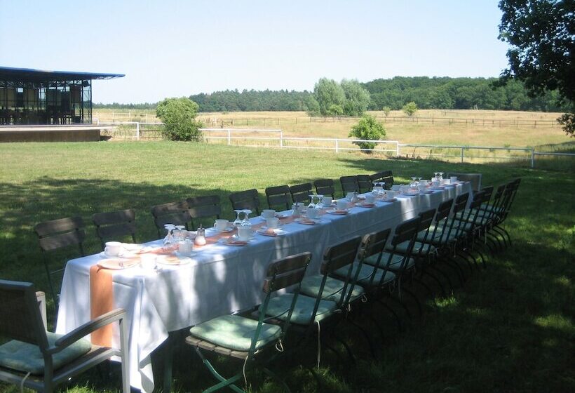 Gut Sarnow   Hotel Und Restaurant