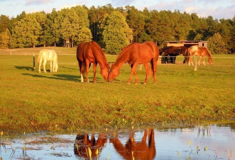 Gut Sarnow   Hotel Und Restaurant