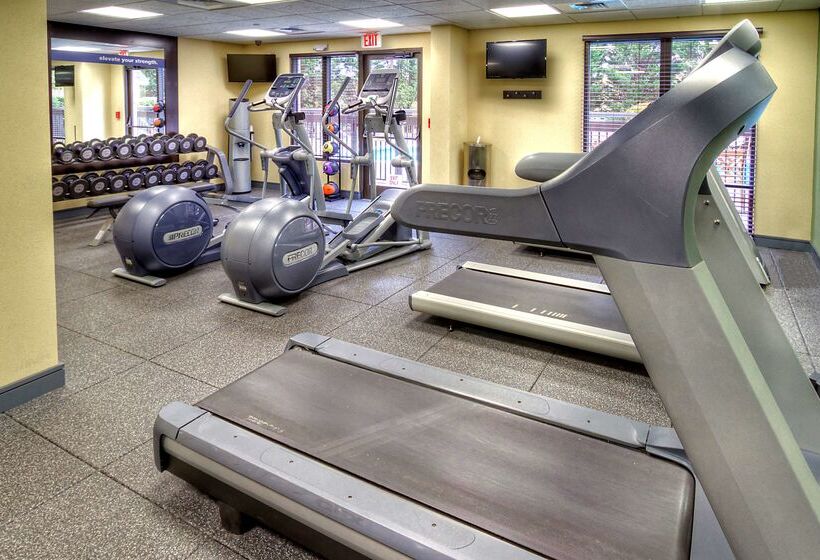 בית מלון כפרי Hampton Inn & Suites Asheville Airport