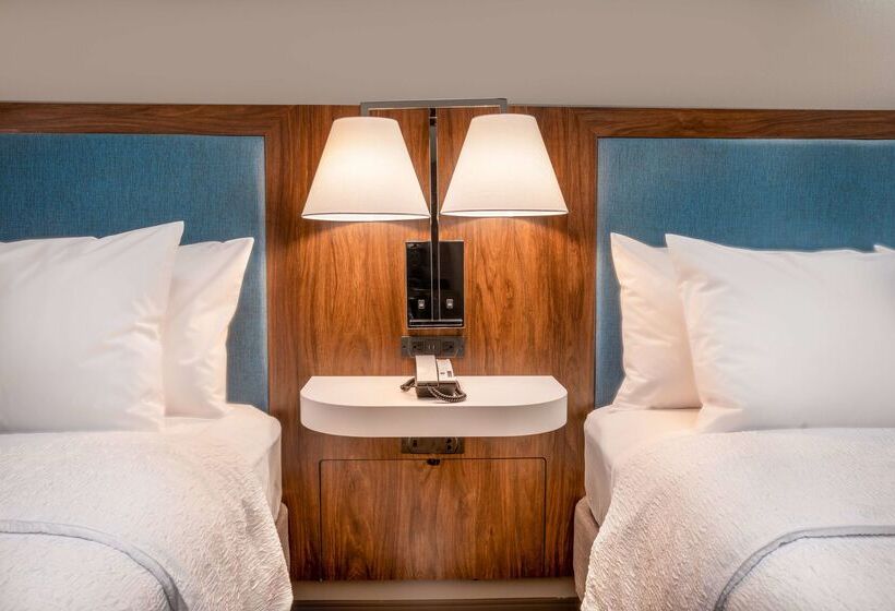 هتل Hampton Inn Ashevilletunnel Rd